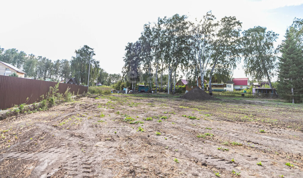 земля г Бердск посёлок Светлый ул Виноградная фото 10