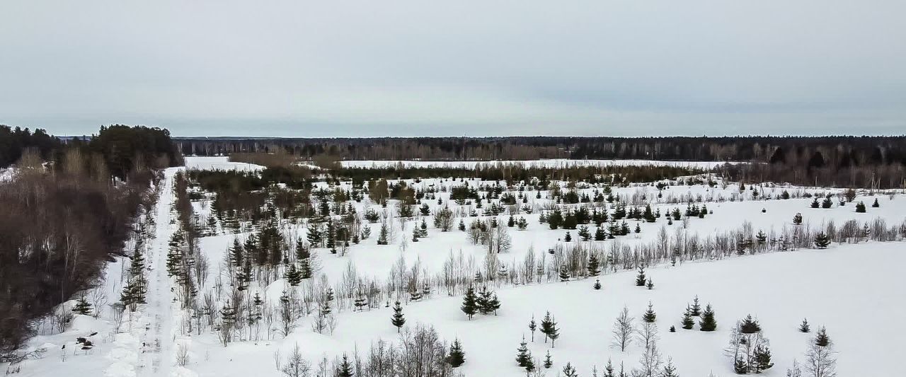 земля р-н Гатчинский тер Зяблики ДНП фото 14