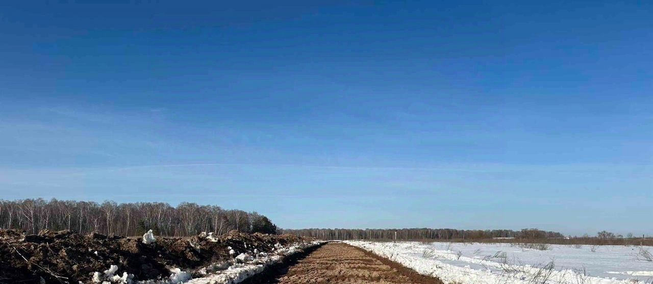 земля городской округ Домодедово с Успенское Барыбино кп фото 10