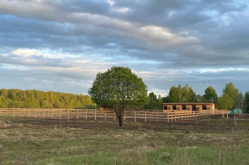 земля городской округ Ступино п Усады ул Усадовская 51 км, Михнево, Новокаширское шоссе фото 8