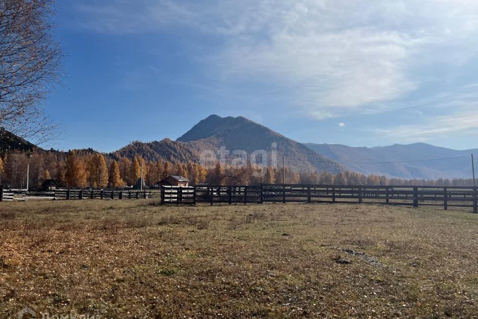 земля р-н Усть-Коксинский п Замульта Зелёная фото 1