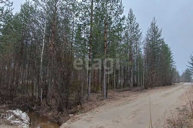 земля г Сыктывкар пгт Верхняя Максаковка Сыктывкар городской округ, Яг-кар фото