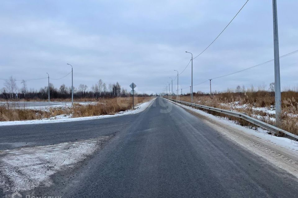 земля г Тюмень снт Царево Тюмень городской округ, Лунная Царево с/о фото 10