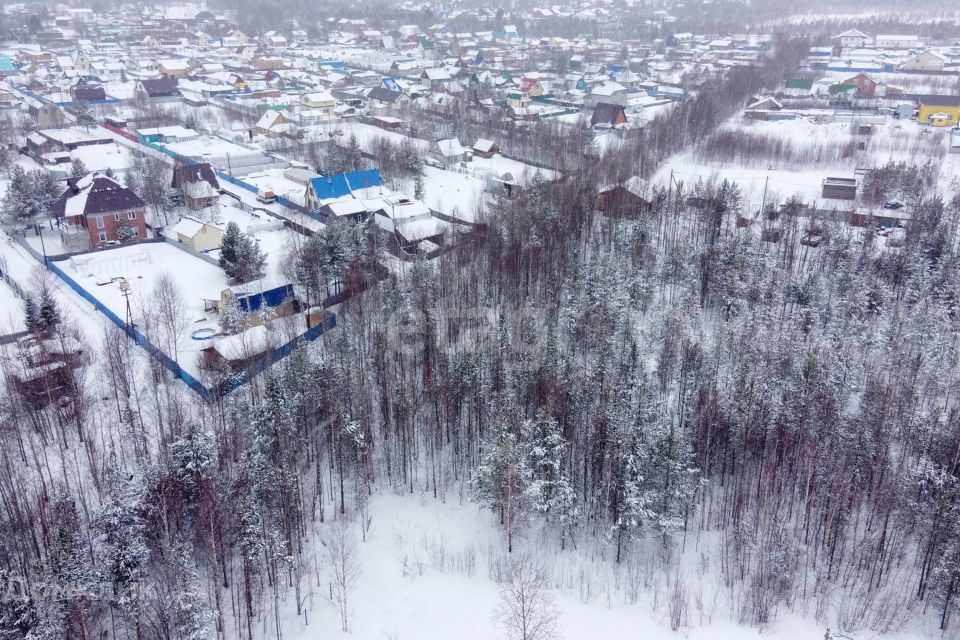 земля г Сургут снт терВозрождение ул 7-я 244 Сургут городской округ фото 7