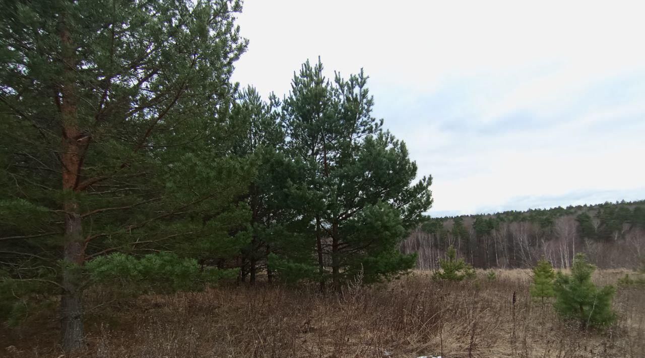 земля городской округ Коломенский д Зиновьево Коломна городской округ фото 2