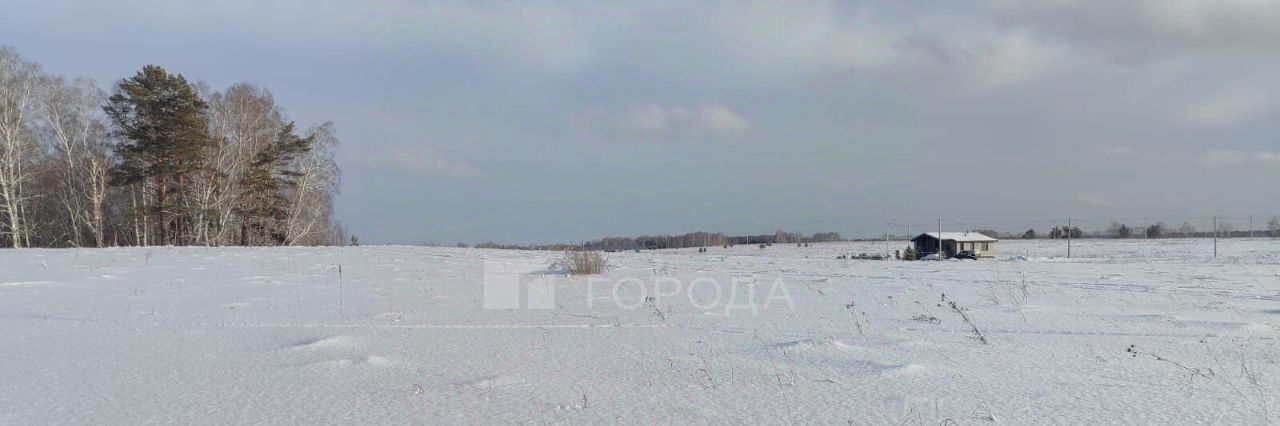 земля р-н Первомайский с Фирсово ул. Кедровая фото 1