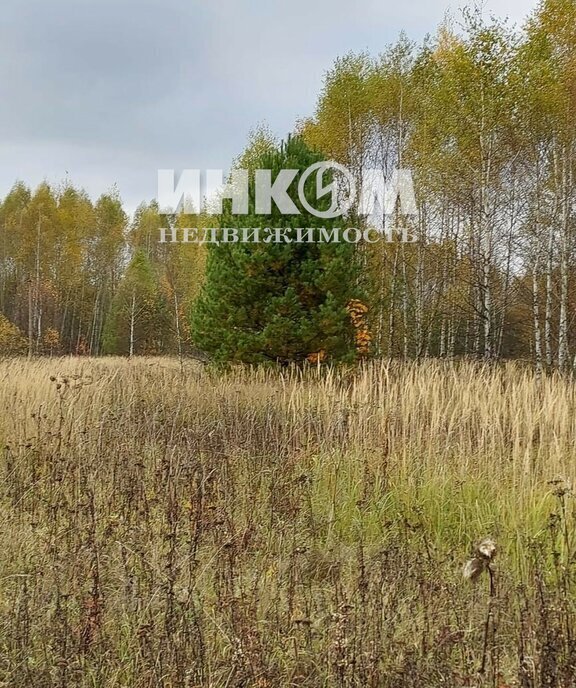 земля городской округ Дмитровский д Маринино фото 3