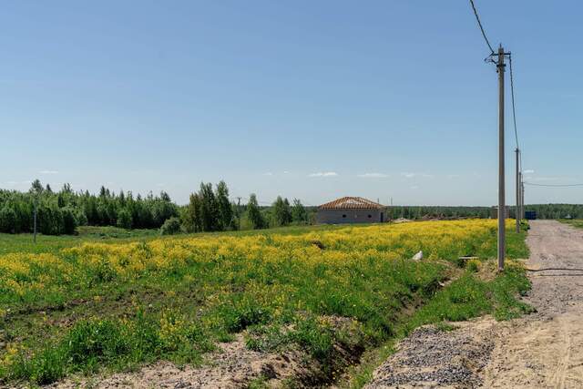 Улица Дыбенко, Колтушское шоссе фото