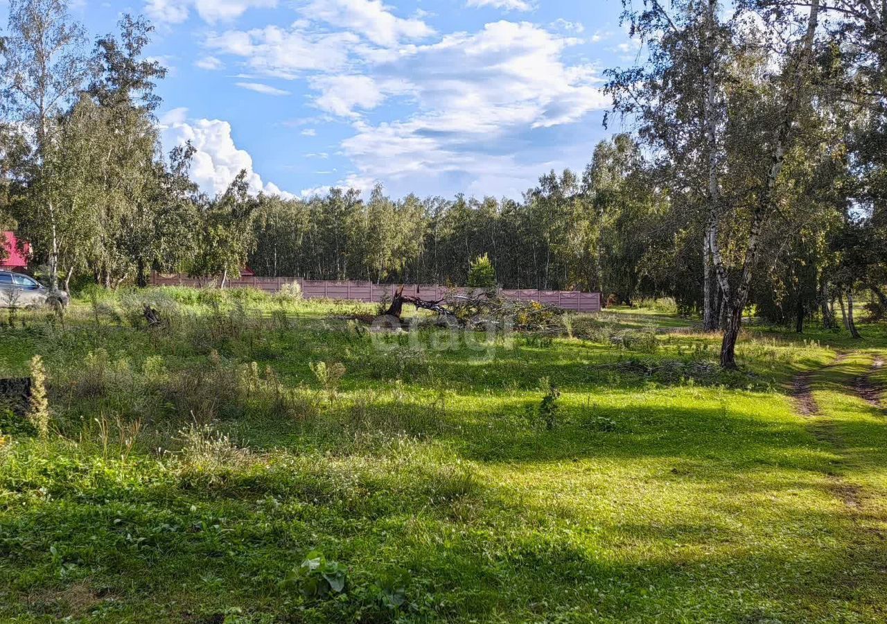 земля р-н Искитимский п Тула Быстровский сельсовет, Бердск фото 2