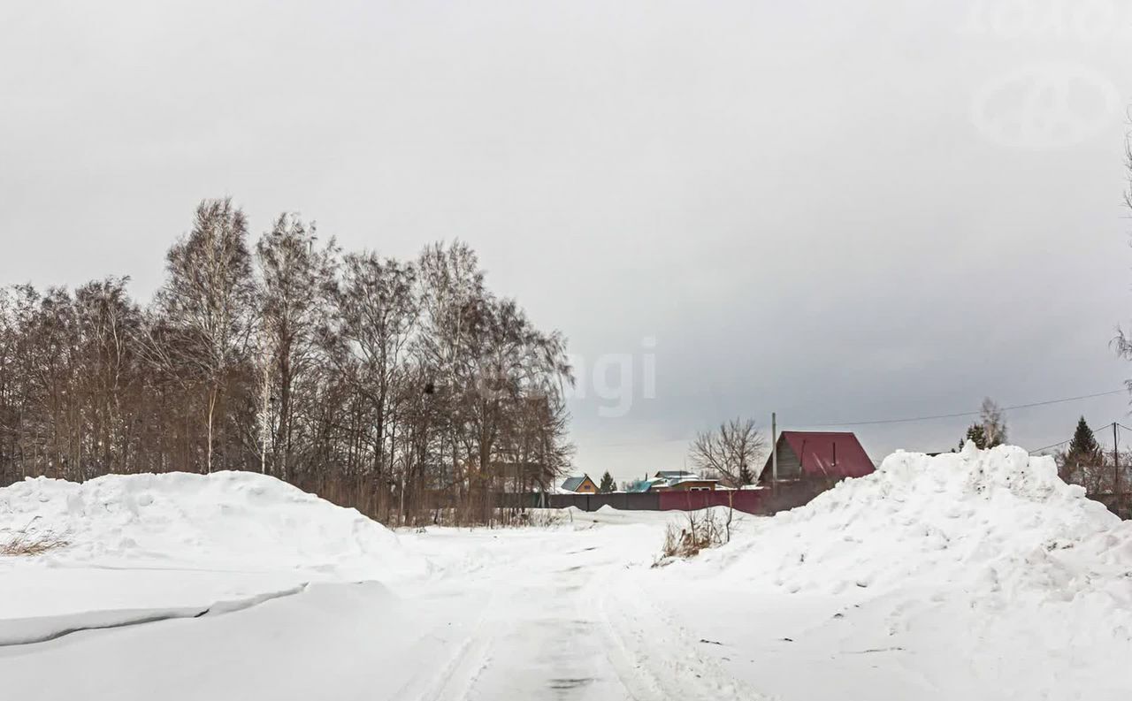 земля г Бердск снт Марьин Лог ул 51-я 25 Бердское шоссе фото 13