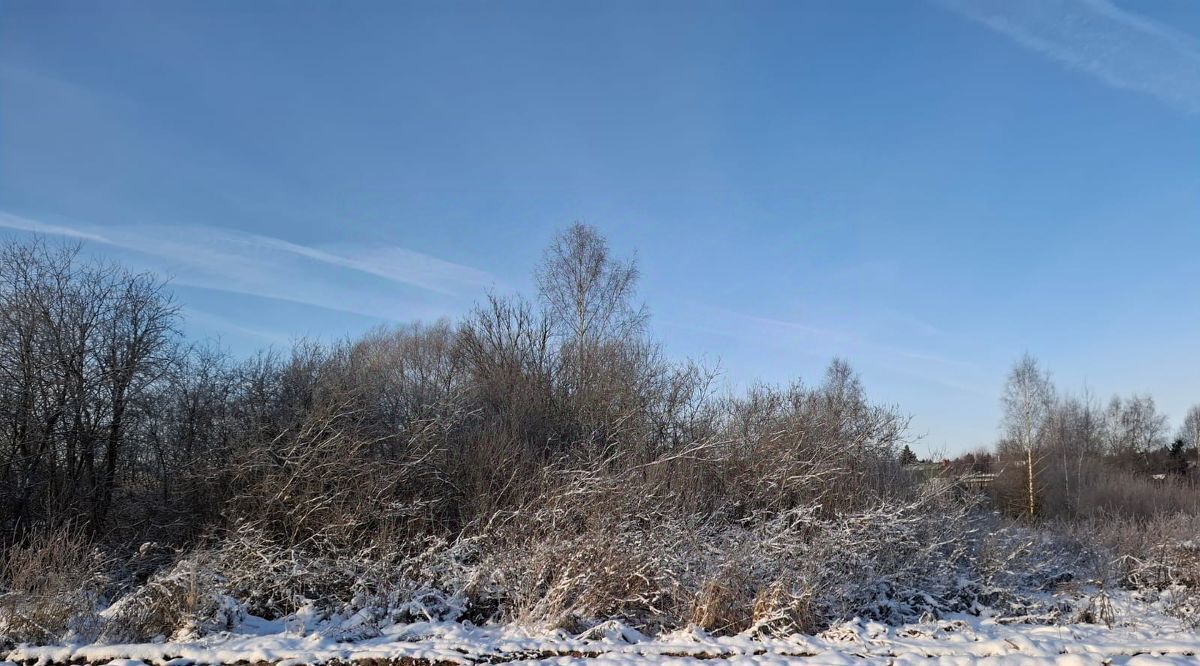 земля городской округ Пушкинский д Чернозёмово фото 2