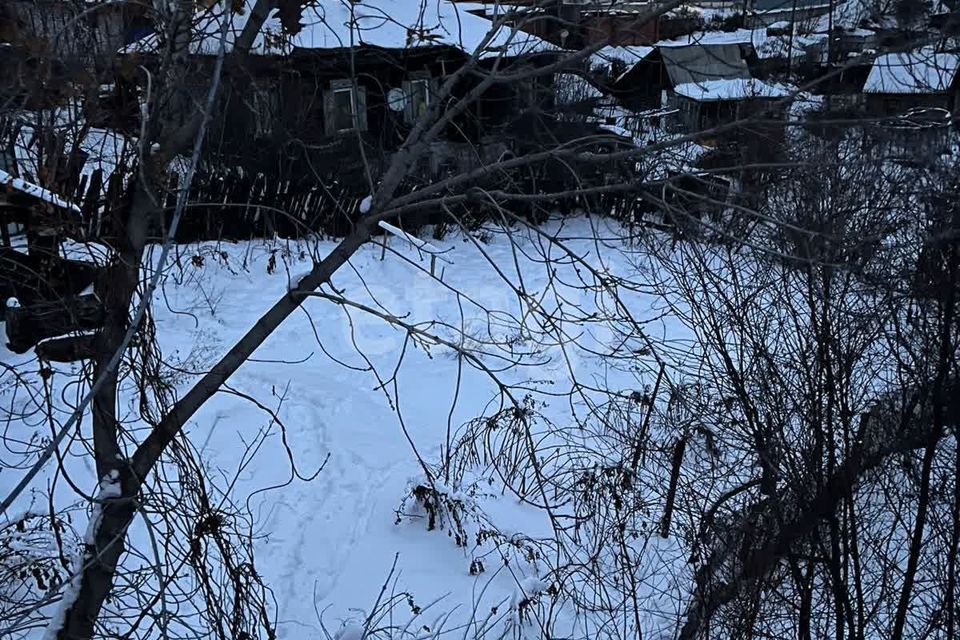 земля Барнаул городской округ, Ерестной фото 4