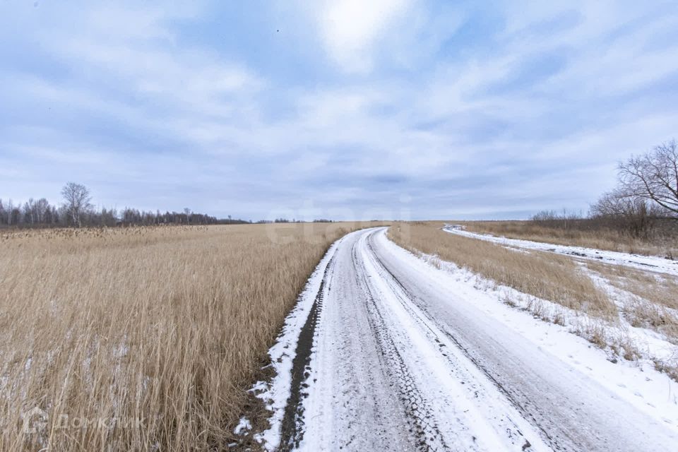 земля р-н Тюменский с. Ембаево фото 1