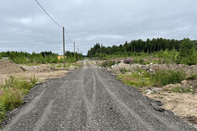 Древлянка Петрозаводский городской округ, Древлянка-11 м-н фото