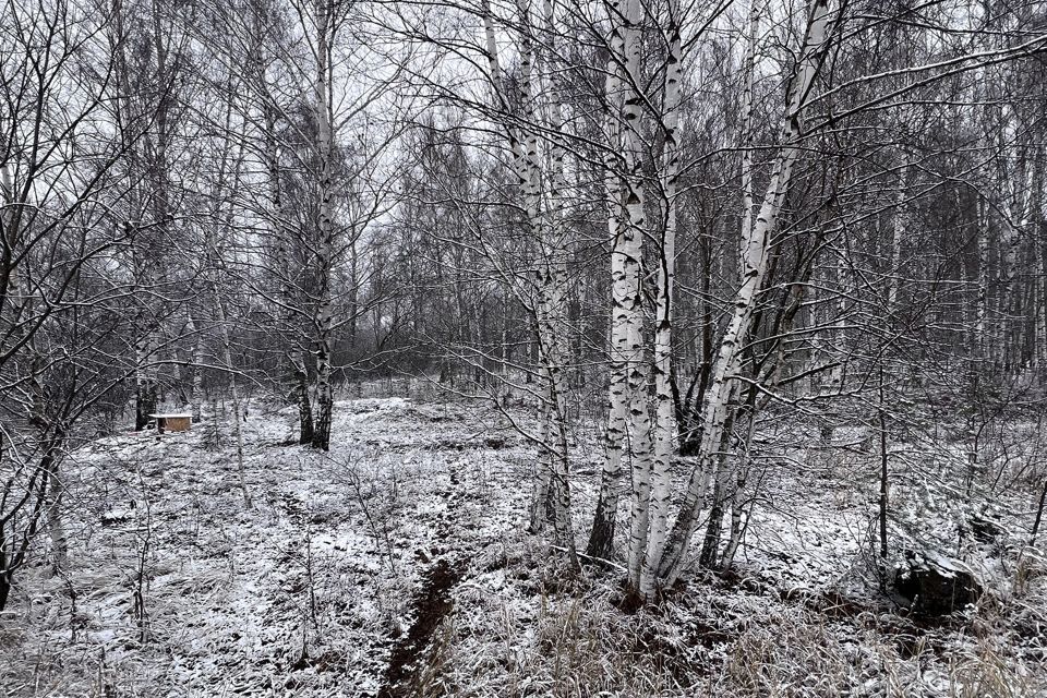 земля р-н Шиловский фото 2