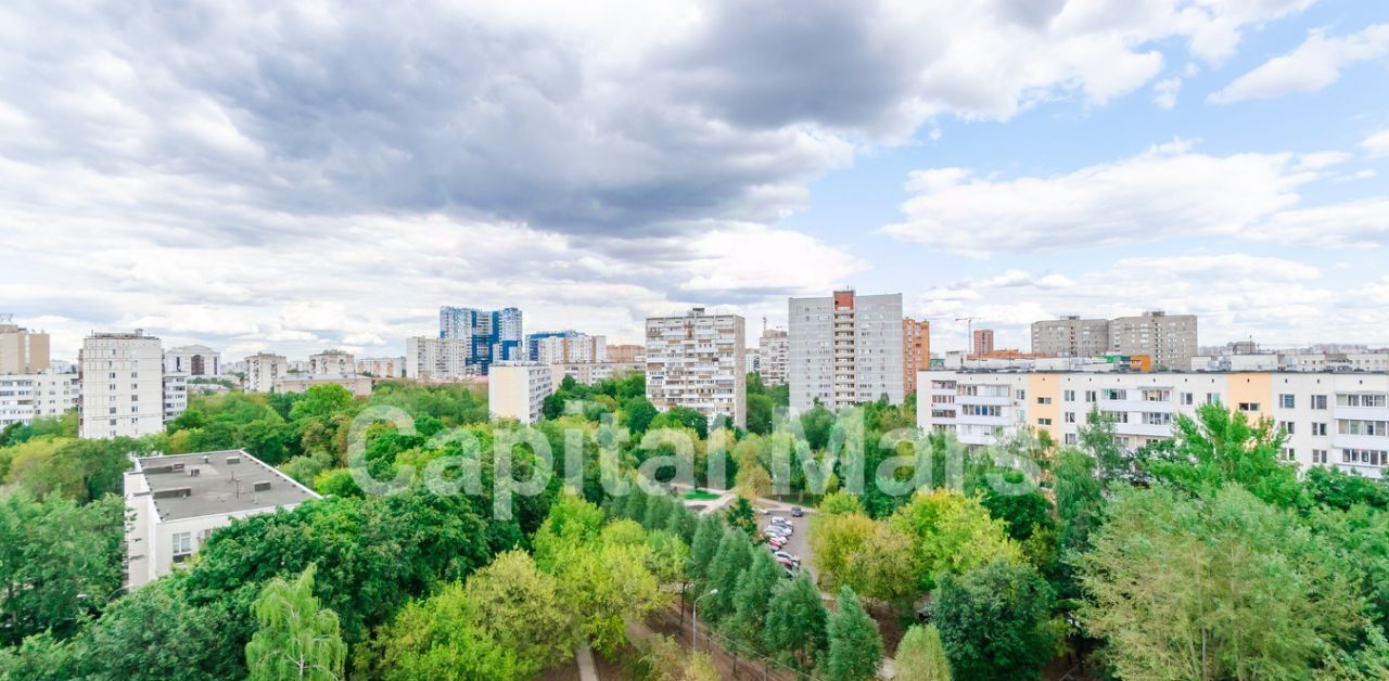 квартира г Москва метро Рязанский проспект ул 4-я Новокузьминская 12 муниципальный округ Рязанский фото 4