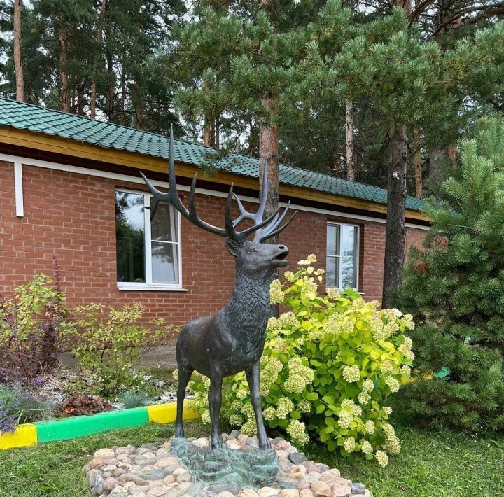 дом р-н Калязинский с/п Алферовское д Носово ул Носовская фото 24