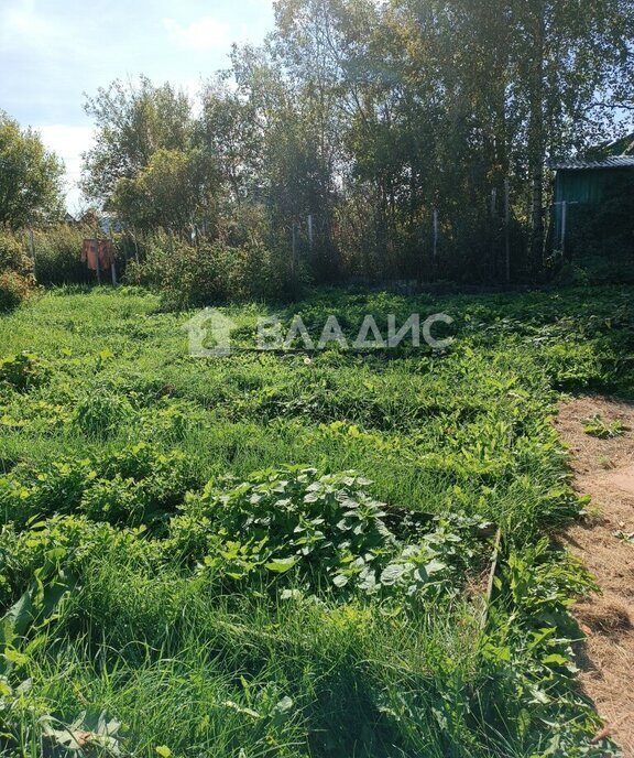 дом р-н Судогодский снт Химик ул Солнечная муниципальное образование Лавровское фото 15