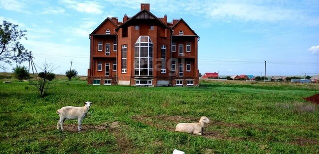 ул Пролетарская Новотаманское сельское поселение фото