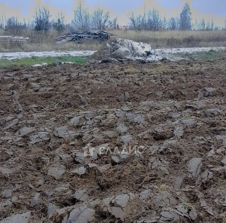 земля р-н Гусь-Хрустальный д Купреево ул Центральная Купреевское сельское поселение фото 3