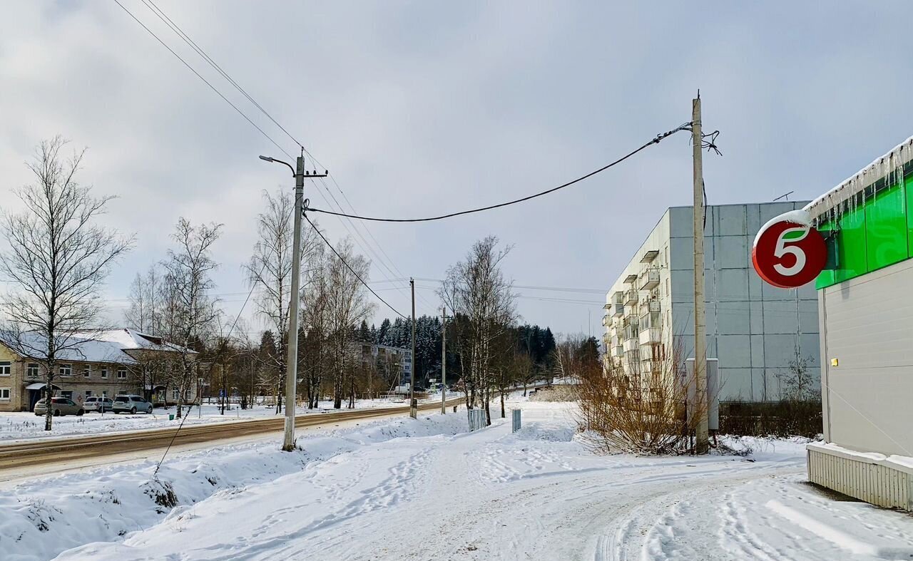 квартира р-н Плюсский п Плюсса ул Ленина 39а городское поселение Плюсса фото 2