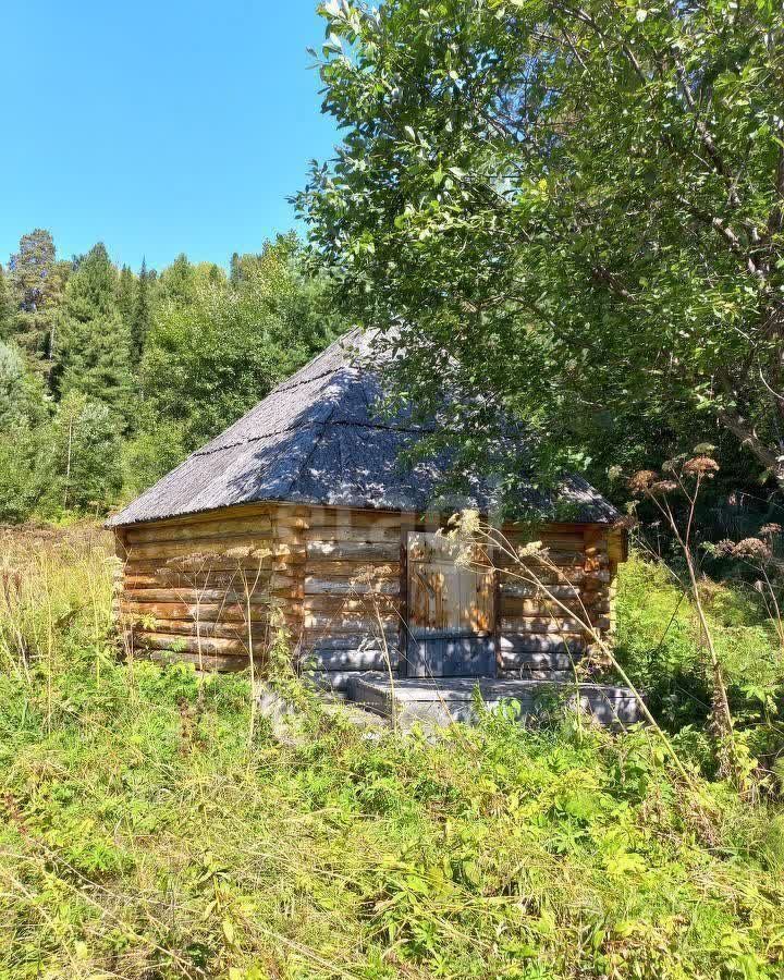 земля р-н Турочакский с Артыбаш Турочак фото 4