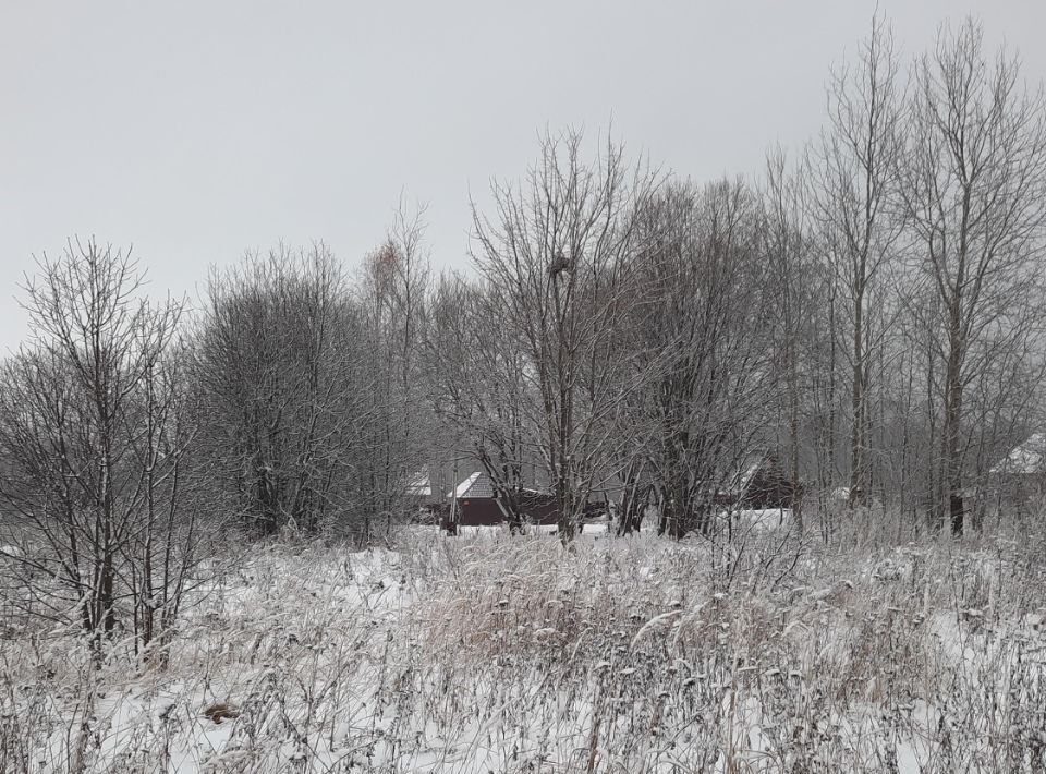 земля городской округ Ступино с Куртино фото 1