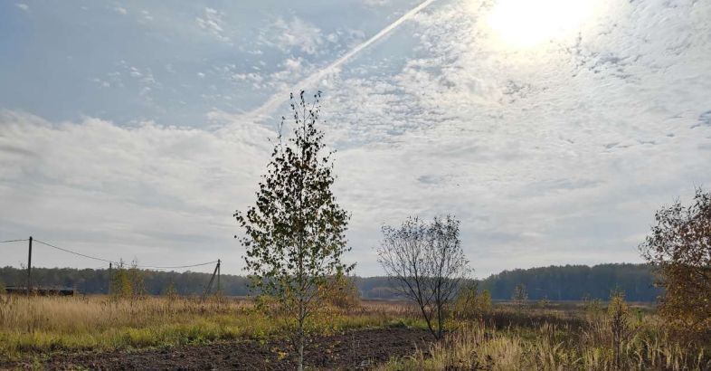 земля городской округ Чехов с Троицкое фото 1