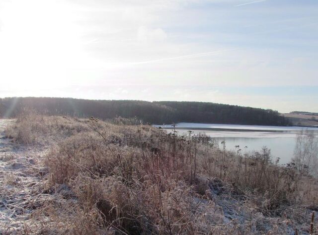 земля д Подмалинки Коломна городской округ фото