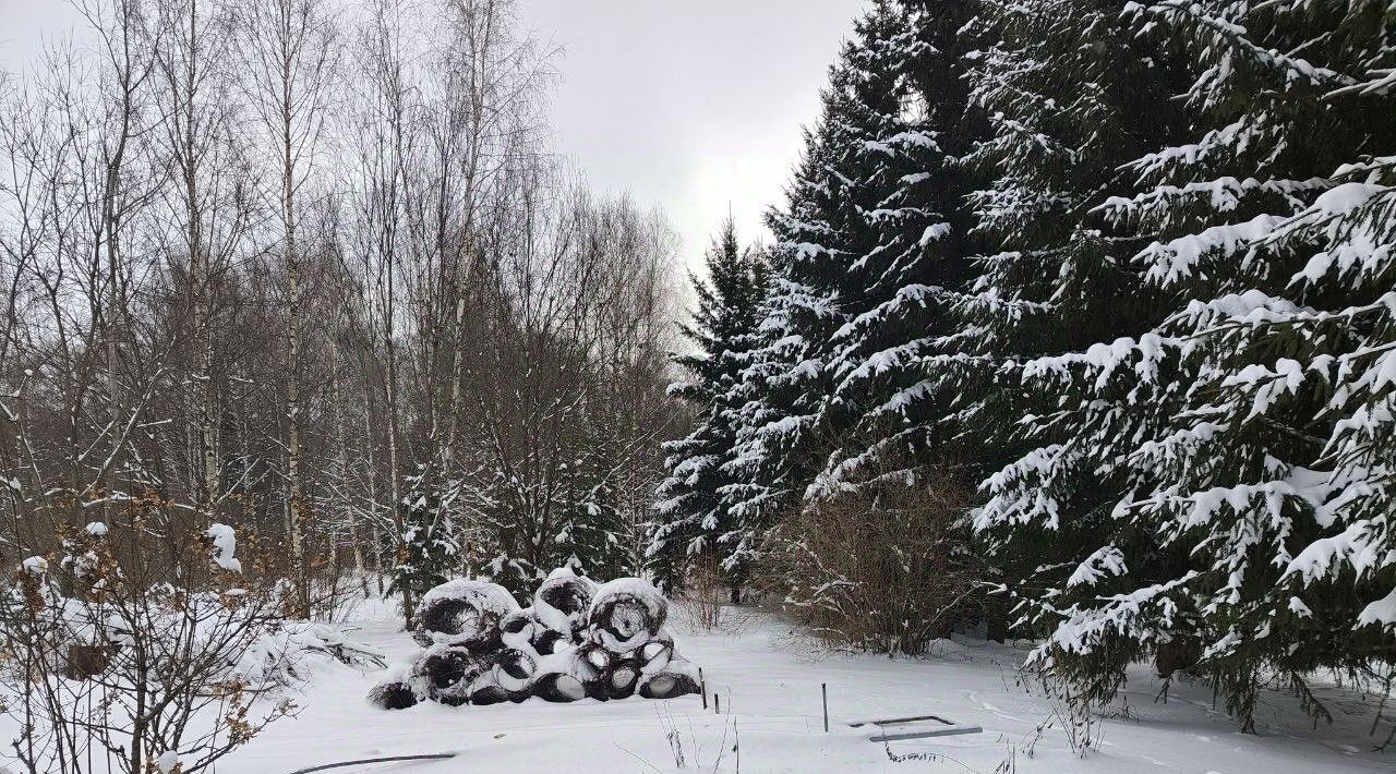 земля городской округ Мытищи д Долгиниха ул Центральная фото 3