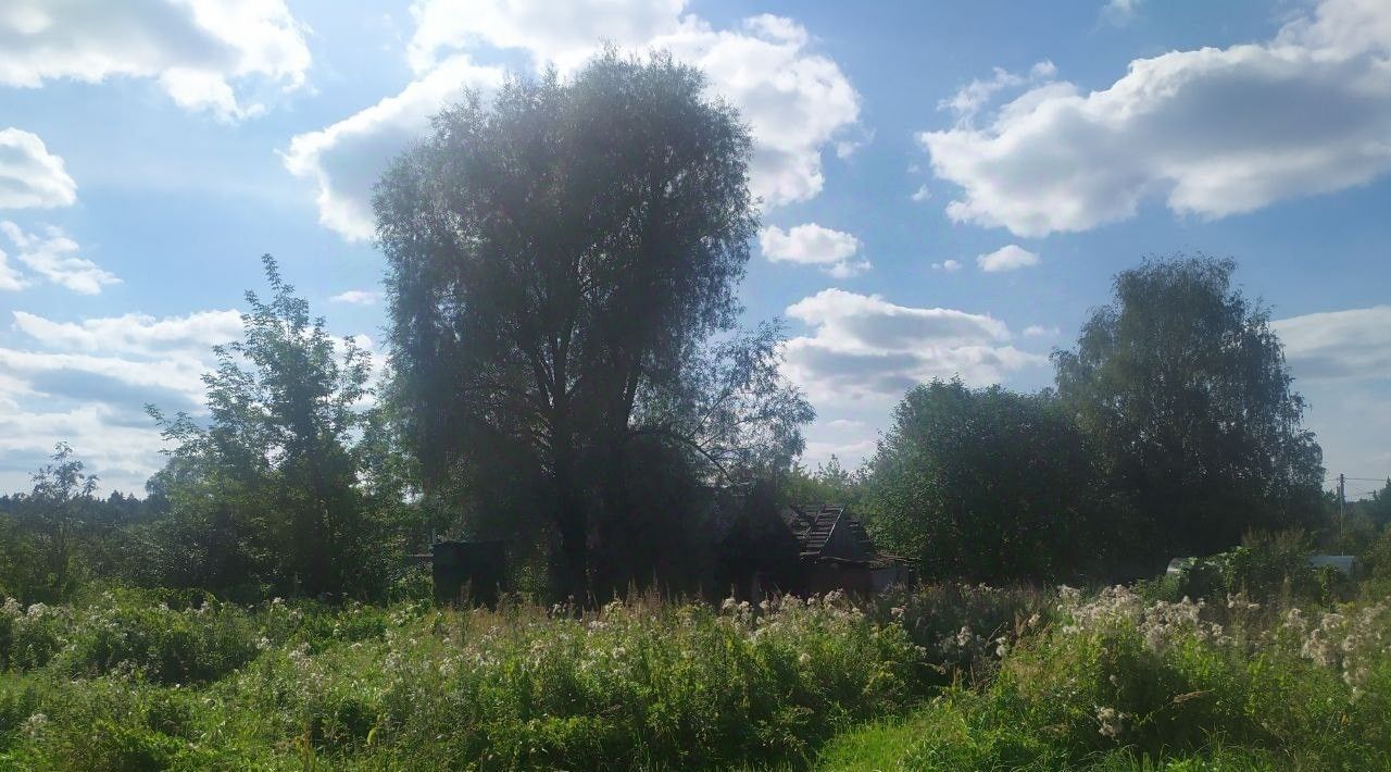 земля городской округ Мытищи д Ларево ул Огородная Хлебниково фото 2