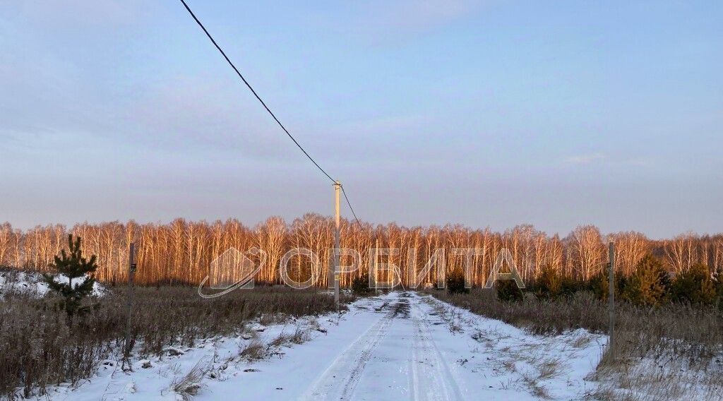 земля г Тюмень р-н Центральный снт Бирюсинка ул Садовая 54 фото 3