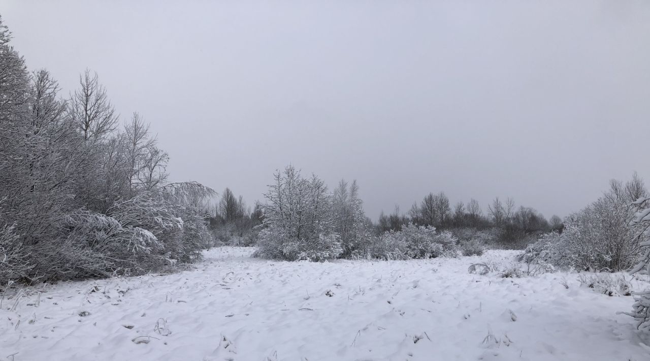 земля р-н Шимский рп Шимск ул Свободы фото 1