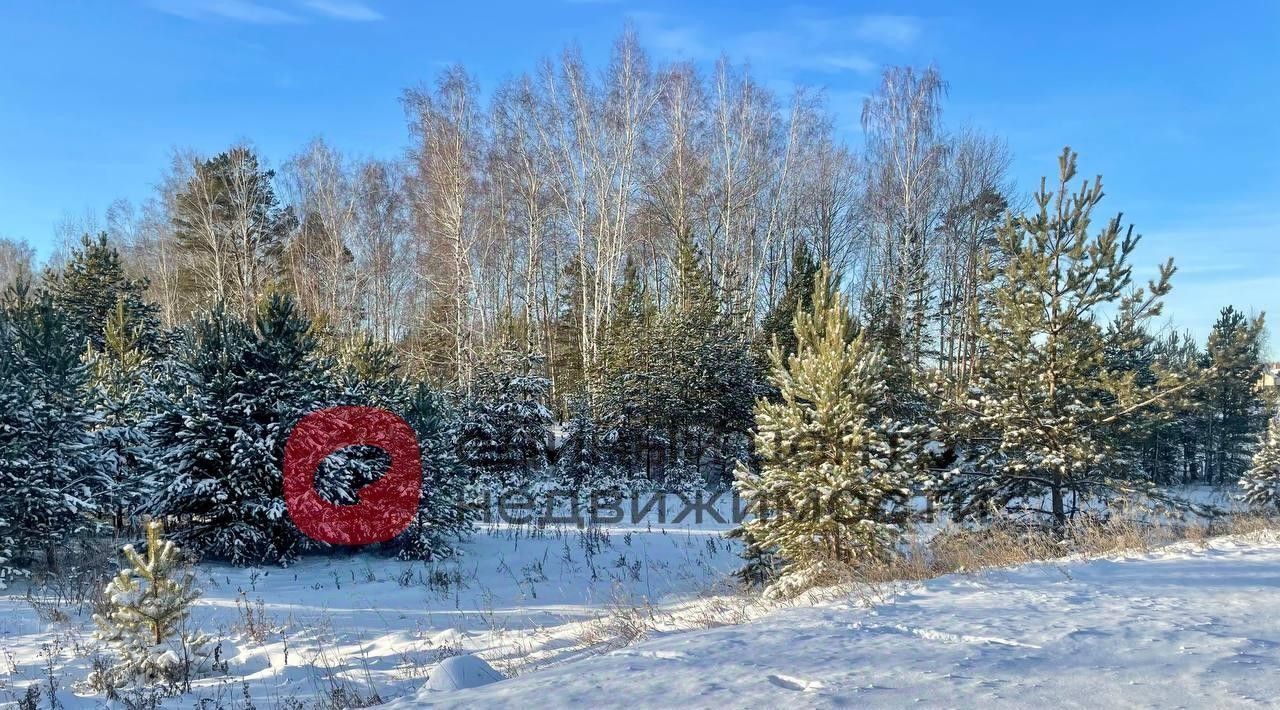 земля р-н Тюменский д Насекина ул Центральная фото 8