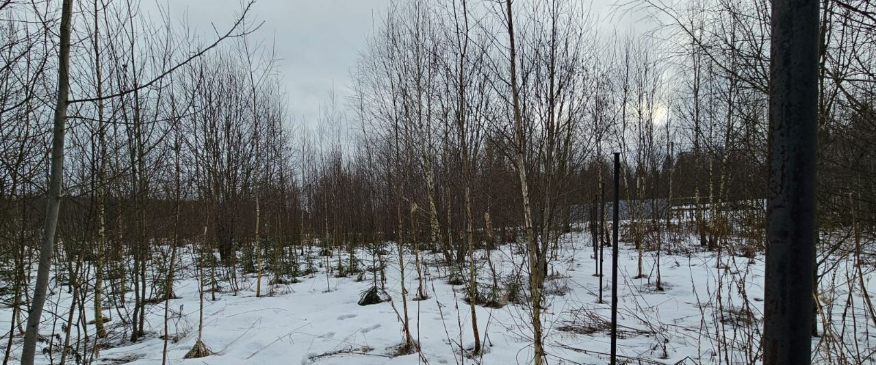 земля городской округ Сергиево-Посадский Новопальчино тер фото 4