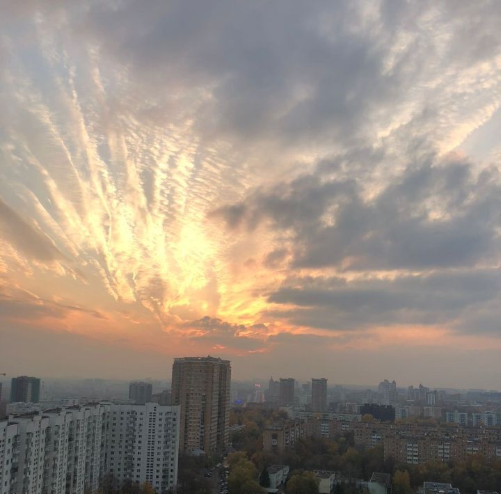 квартира г Москва метро Кунцевская ш Можайское 2 муниципальный округ Можайский фото 5