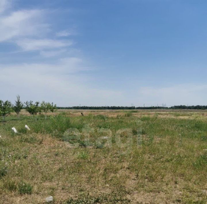 земля р-н Азовский Кулешовское с/пос, Белгорос СНТ, ул. Новгородская фото 13