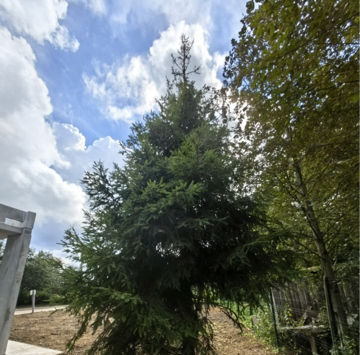 дом городской округ Истра п Северный Северное шоссе, Истра фото 14