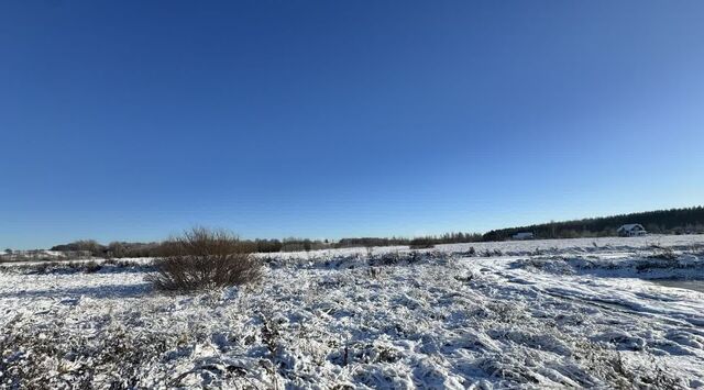 Колтушское городское поселение, Росток кп, Улица Дыбенко, ул. Удачная фото