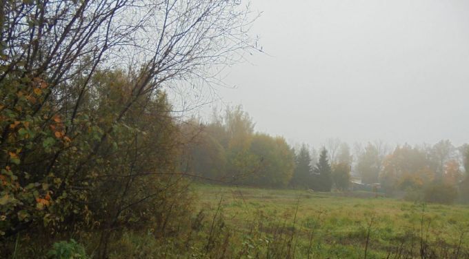 земля городской округ Дмитровский д Селевкино фото 1