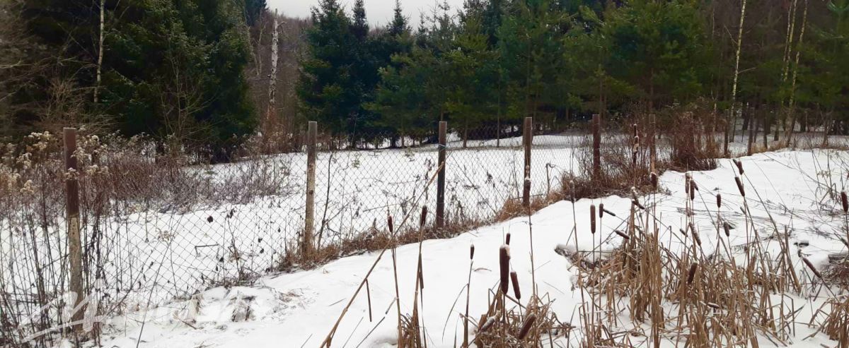 земля городской округ Истра с Новопетровское 52 км, 17, с. Горки, Волоколамское шоссе фото 11