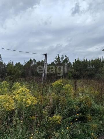 р-н Орджоникидзевский главный фото