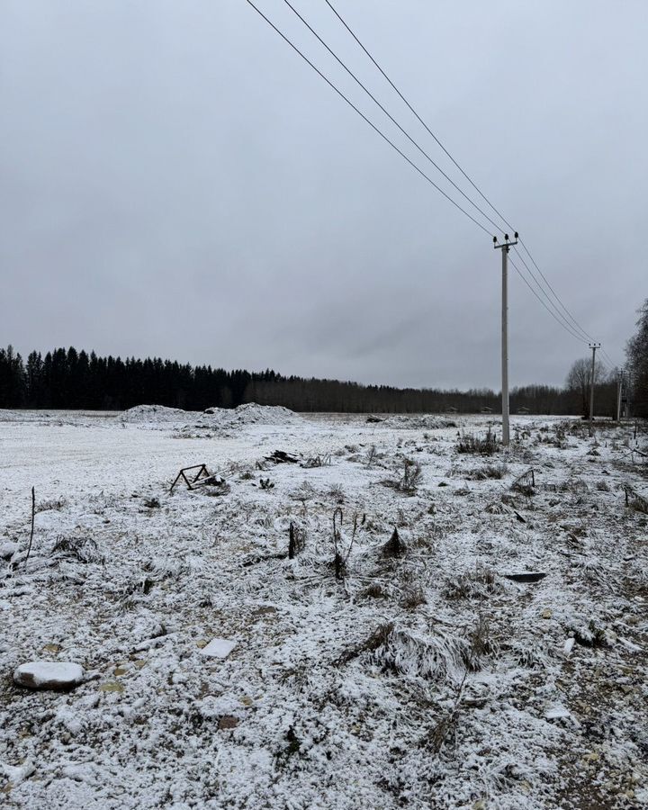 земля р-н Волосовский п Отделение совхоза Кикерино Таллинское шоссе, 42 км, Калитинское сельское поселение, Волосово фото 4