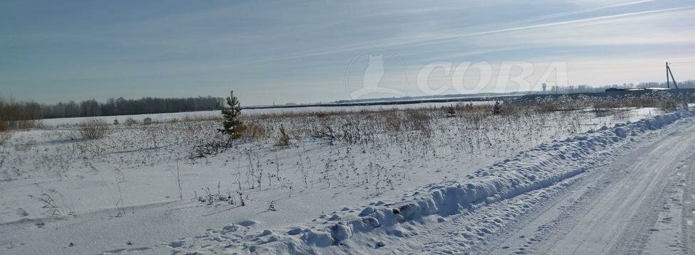 земля г Тюмень Ирбитский Тракт, 3-й км от Рощинского Кольца фото 3