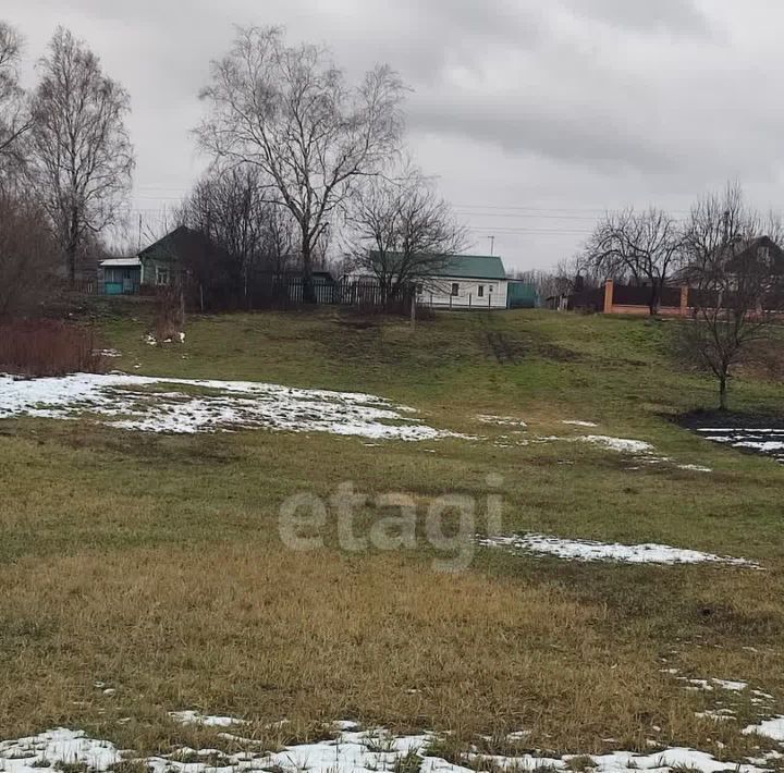 земля р-н Мичуринский с Мановицы ул Сдвижки Мичуринский муниципальный округ фото 4