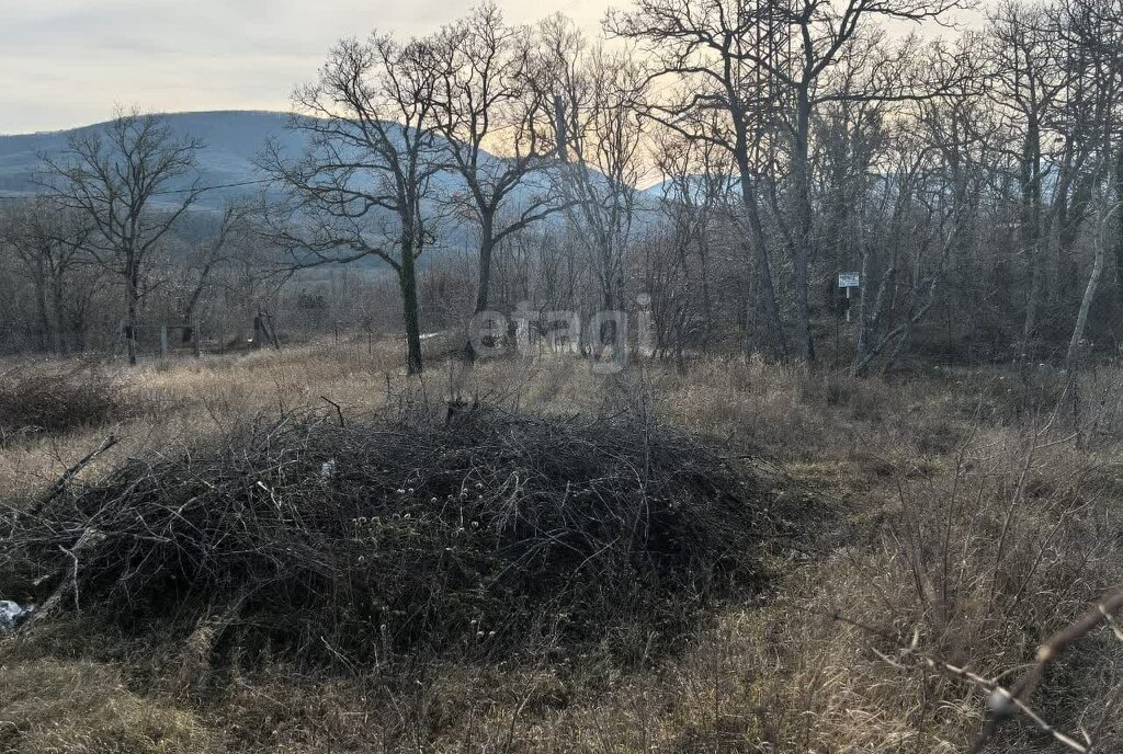 земля г Новороссийск садовое товарищество Василёк фото 3