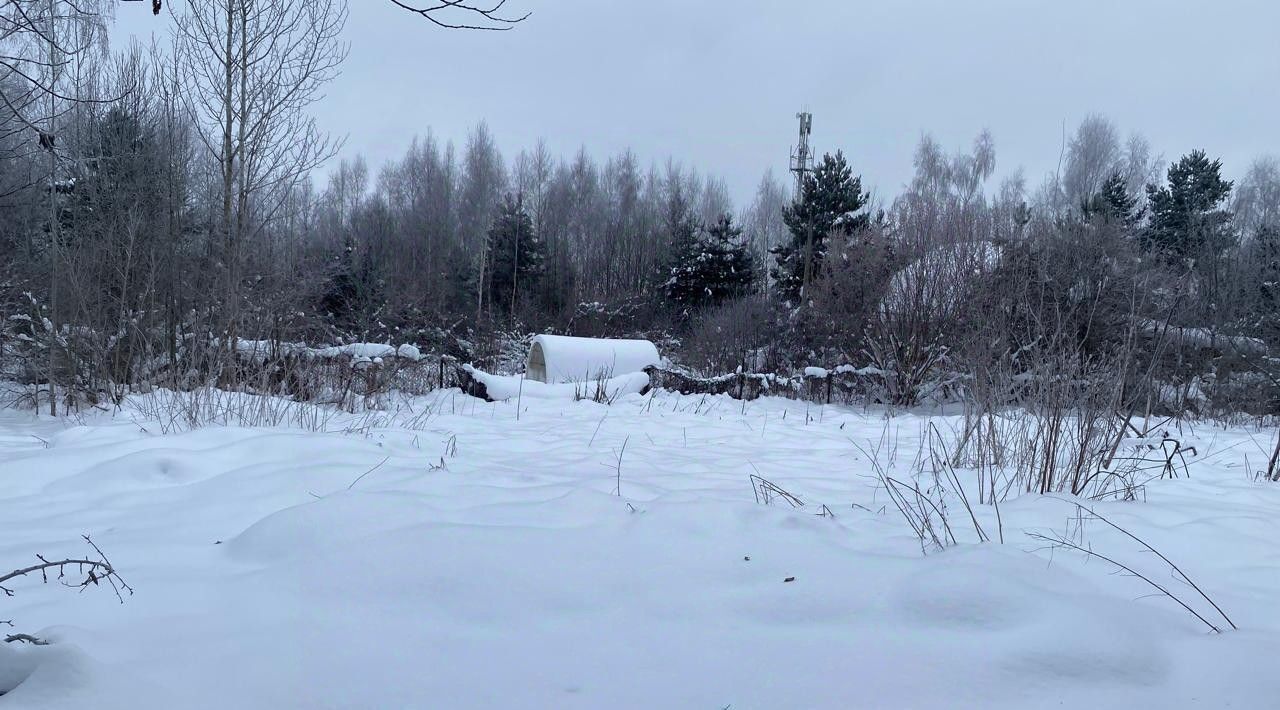 земля городской округ Рузский д Щербинки фото 3