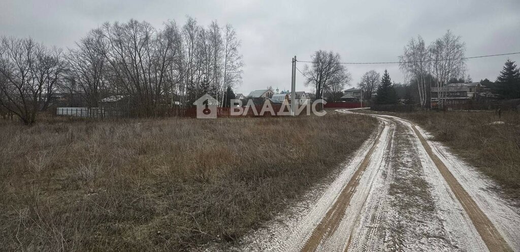 земля р-н Спасский с Петровичи Панинское сельское поселение фото 3