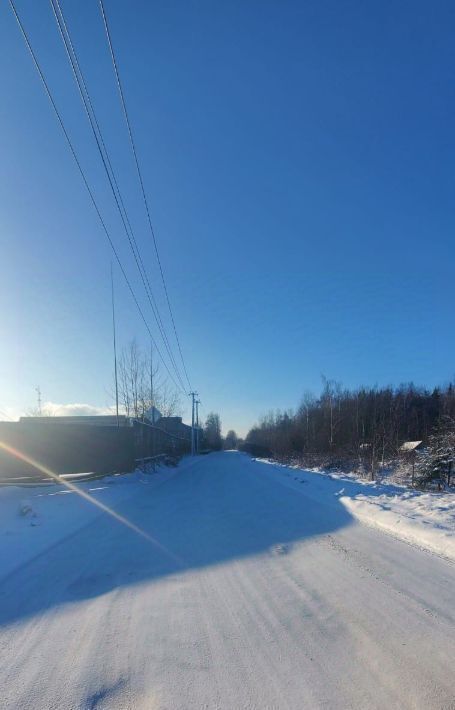 земля р-н Всеволожский п Углово Романовское с/пос, мест., ул. Новоселов фото 7