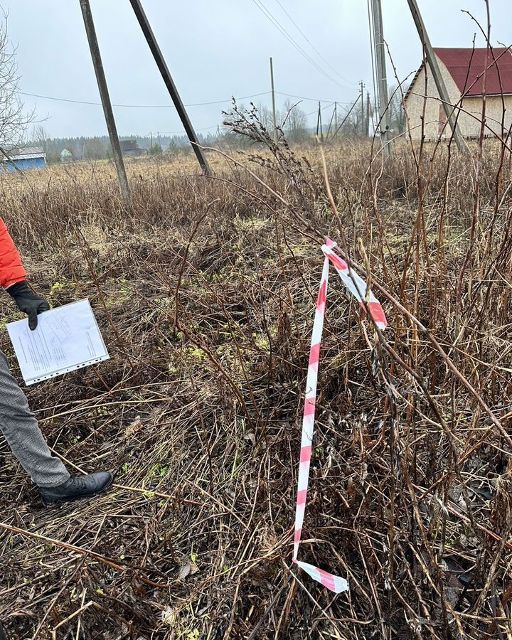 земля р-н Волосовский д Рутелицы Таллинское шоссе, 31 км, Клопицкое сельское поселение, Жабино фото 6